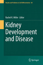 Kidney Development And Disease 1st Edition Rachel K Miller Eds