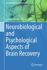 Neurobiological And Psychological Aspects Of Brain Recovery 1st Edition Laura Petrosini Eds