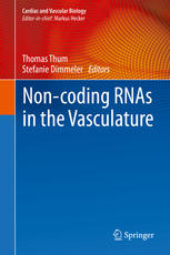 Noncoding Rnas In The Vasculature 1st Edition Thomas Thum Stefanie Dimmeler Eds