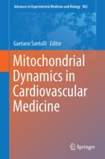Mitochondrial Dynamics In Cardiovascular Medicine 1st Edition Gaetano Santulli Eds