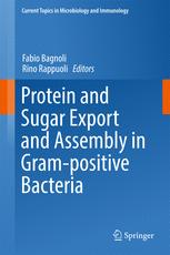 Protein And Sugar Export And Assembly In Grampositive Bacteria 1st Edition Fabio Bagnoli