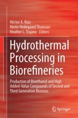 Hydrothermal Processing In Biorefineries Production Of Bioethanol And High Addedvalue Compounds Of Second And Third Generation Biomass 1st Edition Hctor A Ruiz