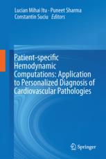 Patientspecific Hemodynamic Computations Application To Personalized Diagnosis Of Cardiovascular Pathologies 1st Edition Lucian Mihai Itu