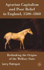 Agrarian Capitalism And Poor Relief In England 15001860 Rethinking The Origins Of The Welfare State 1st Edition Larry Patriquin Auth