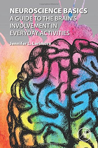 Neuroscience Basics A Guide To The Brains Involvement In Everyday Activities 1st Edition Jennifer L Larimore