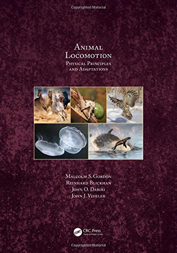 Animal Locomotion Physical Principles And Adaptations 1st Edition Blickhan