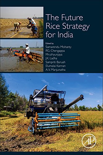The Future Rice Strategy For India 1st Edition Samarendu Mohanty Et Al Eds