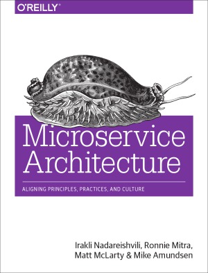 Microservice Architecture Aligning Principles Practices And Culture Nadareishvili
