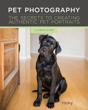 Pet Photography The Secrets To Creating Authentic Pet Portraits Norah Levine