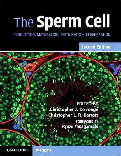 The Sperm Cell Production Maturation Fertilization Regeneration 2nd Christopher J De Jonge