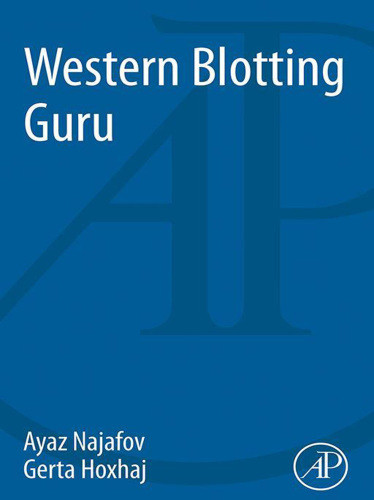 Western Blotting Guru Hoxhaj Gerta Najafov Ayaz