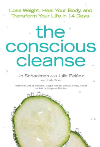 The Conscious Cleanse Lose Weight Heal Your Body And Transform Your Life In 14 Days Jo Schaalman Julie Pelaez Joshua Dinar