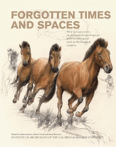 Forgotten Times And Spaces New Perspectives In Paleoanthropological Paleoetnological And Archeological Studies Mizerov