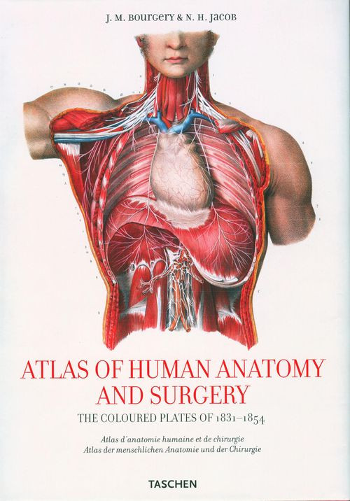 Atlas Of Human Anatomy And Surgery The Coloured Plates Of 18311854 25th Anniversary Jm Bourgery