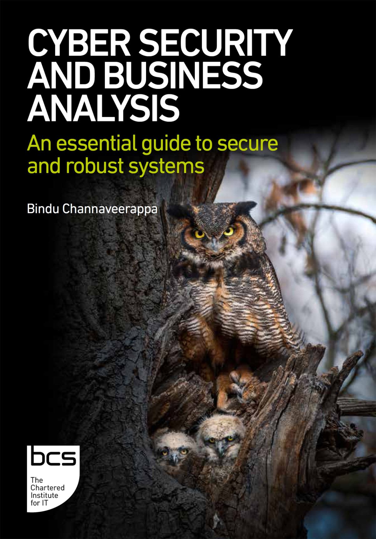 Cyber Security And Business Analysis Channaveerappa Bindu
