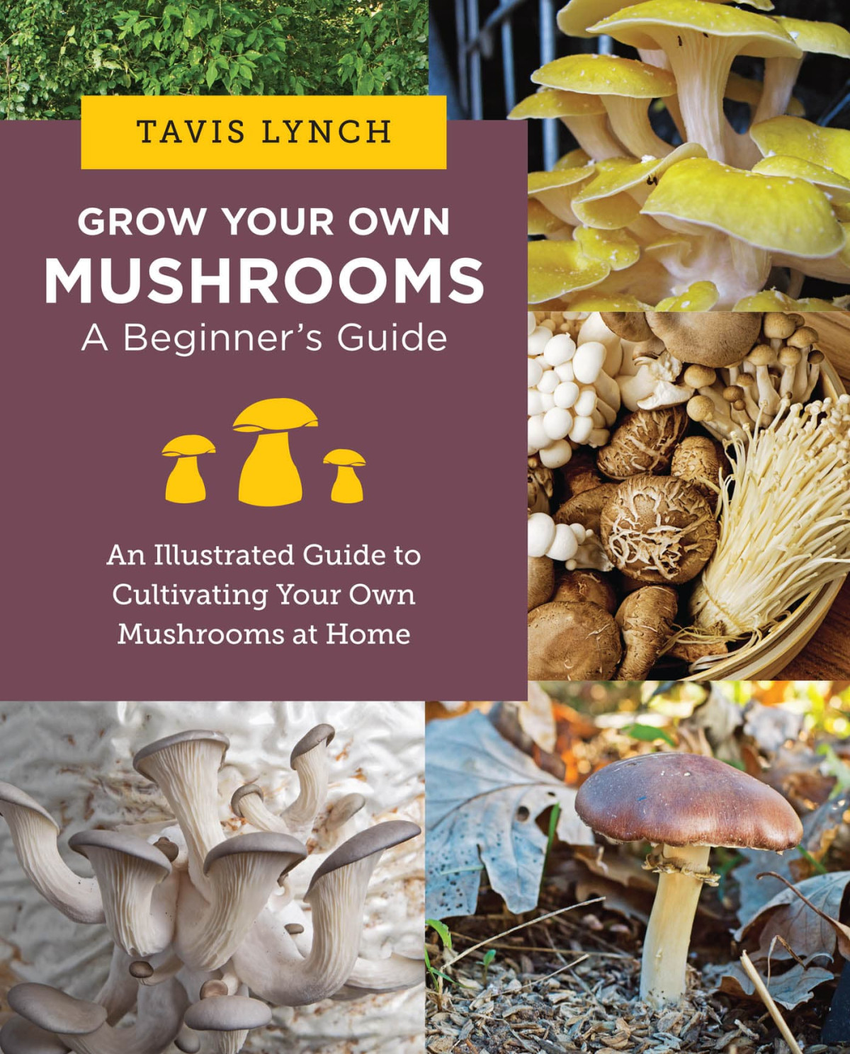 Grow Your Own Mushrooms Tavis Lynch