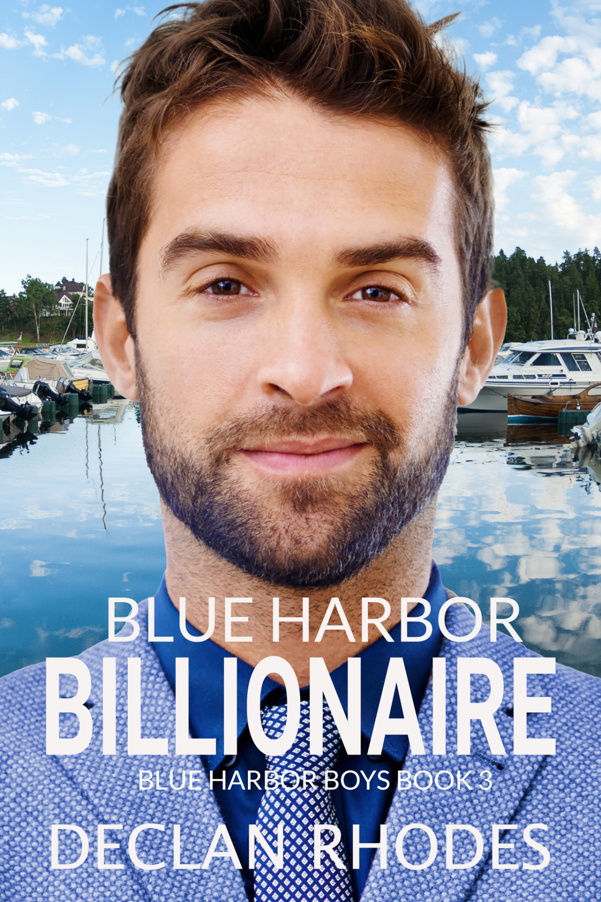 Blue Harbor Billionaire A Mm Nerdjock Romance Blue Harbor Boys Book 3 Declan Rhodes