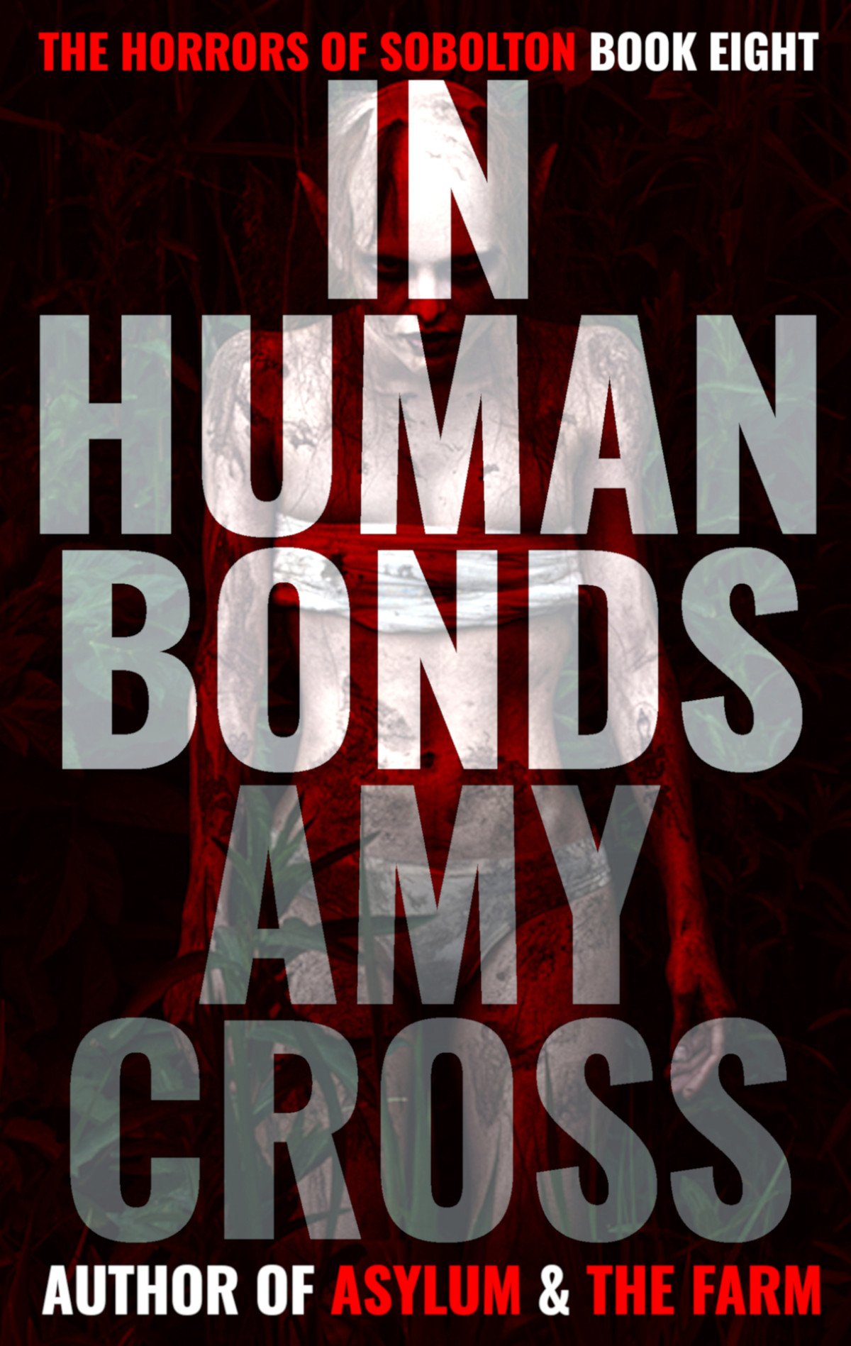 In Human Bonds The Horrors Of Sobolton Book 8 Amy Cross