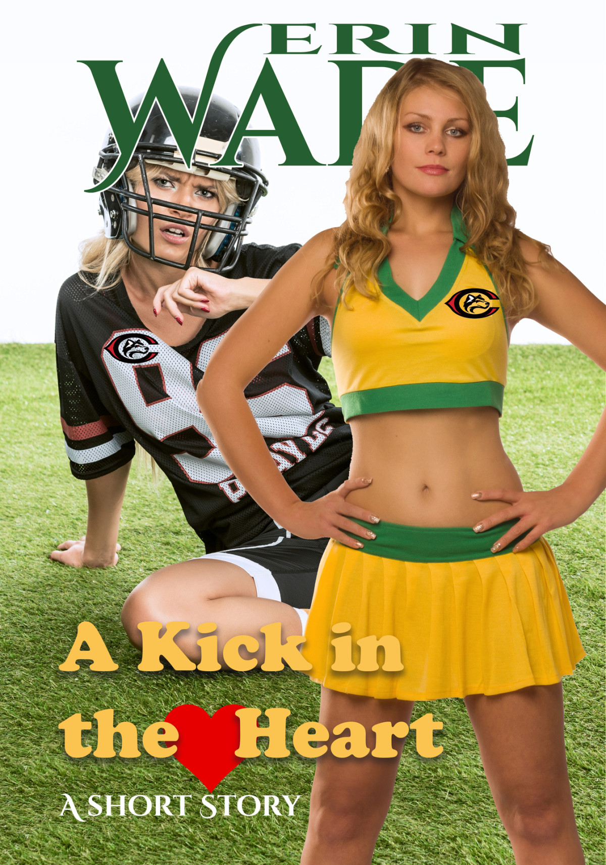 A Kick In The Heart A Short Story Wade Erin