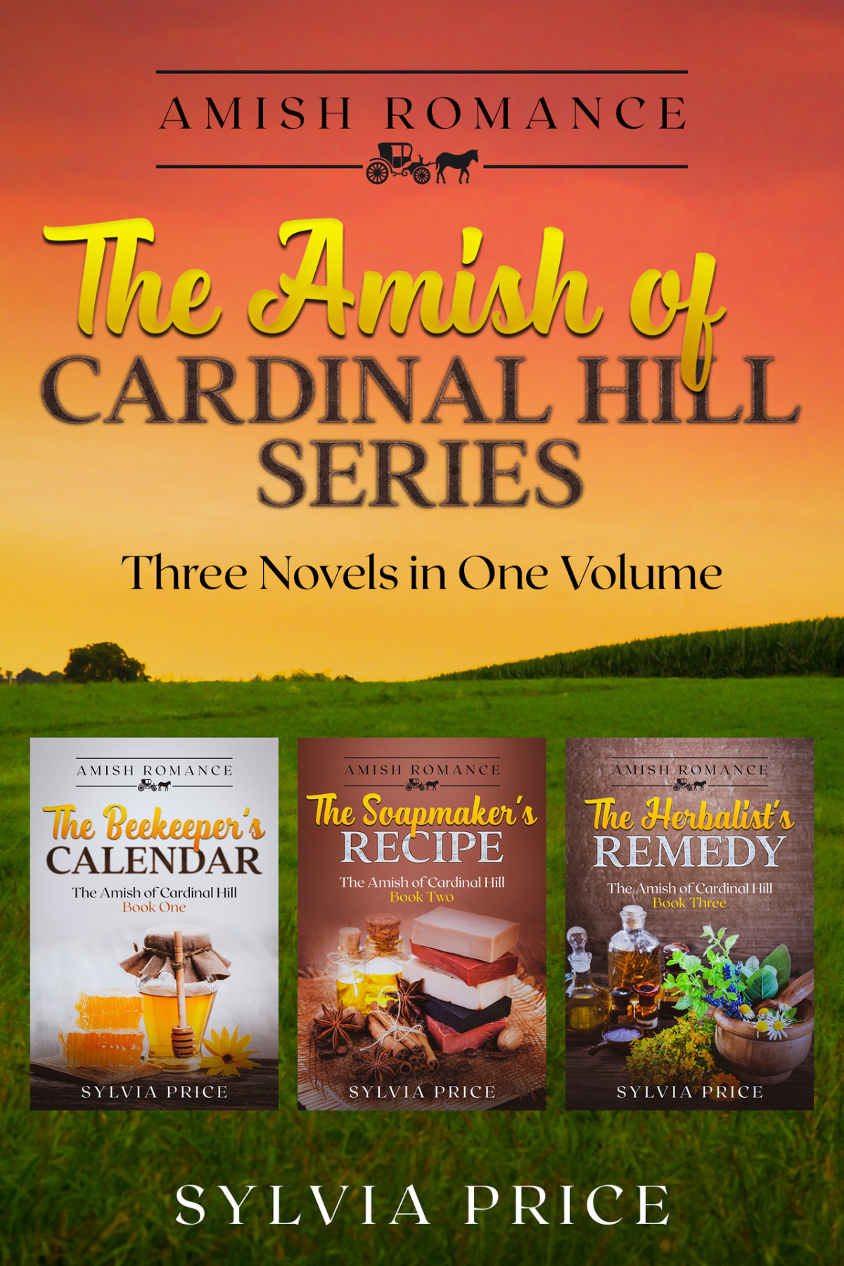 The Amish Of Cardinal Hill Series Three Amish Romance Novels In One Volume Price