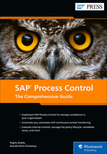 Sap Process Control The Comprehensive Guide Boddu Raghuchaitanya