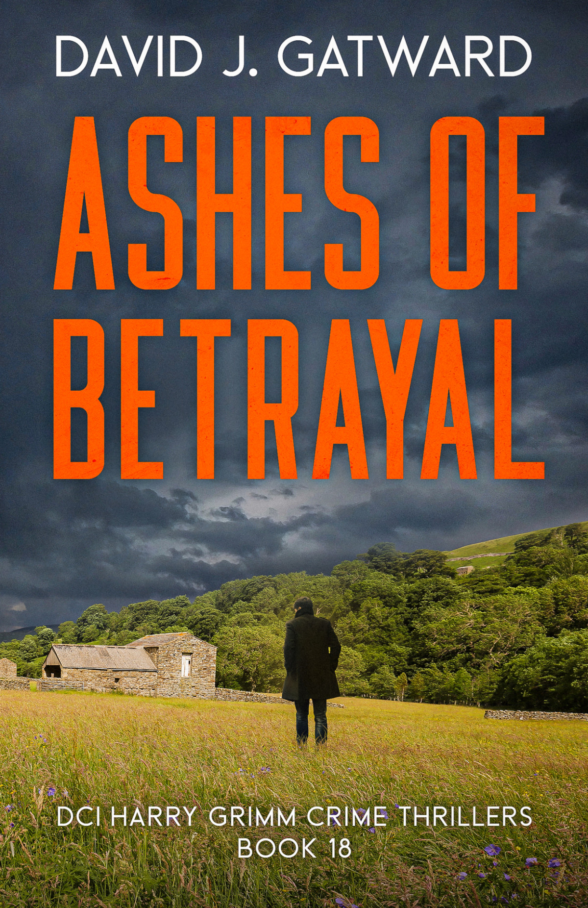 Ashes Of Betrayal A Yorkshire Murder Mystery Dci Harry Grimm Crime Thrillers Book 18 David J Gatward