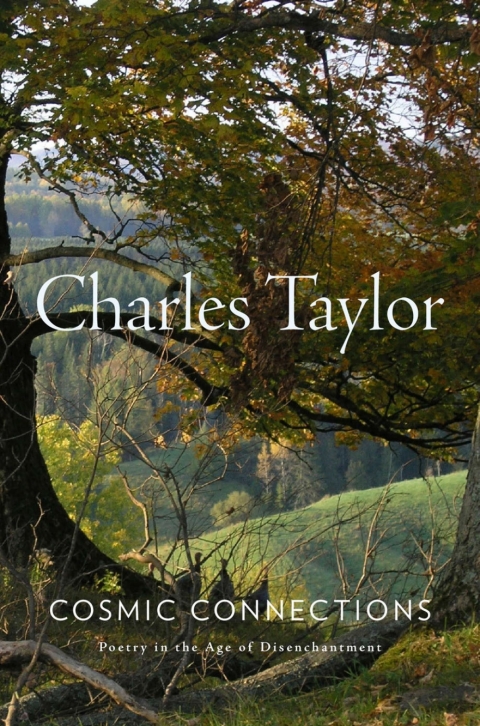 Cosmic Connections 1st Edition Charles Taylor