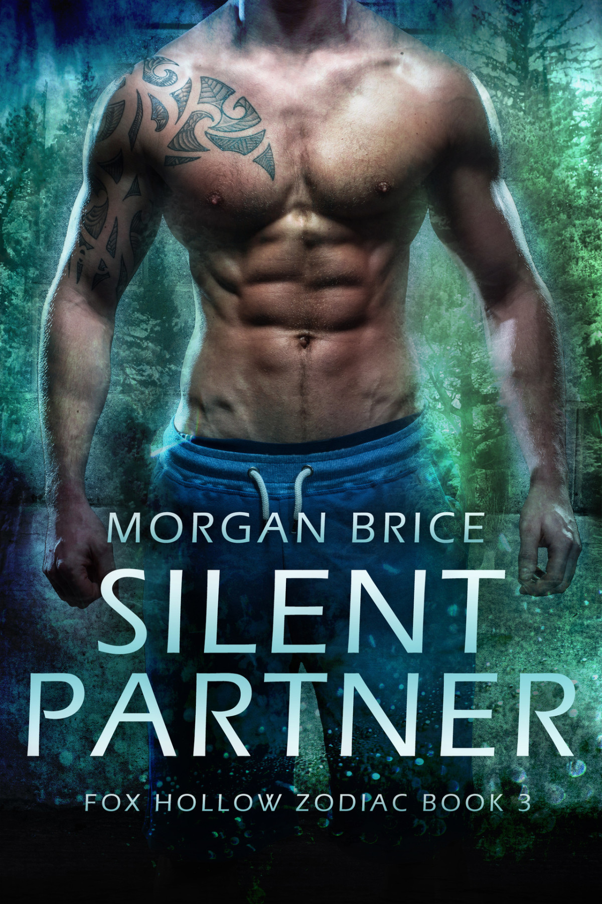 Silent Partner Fox Hollow Zodiac Novel 3 Morgan Brice