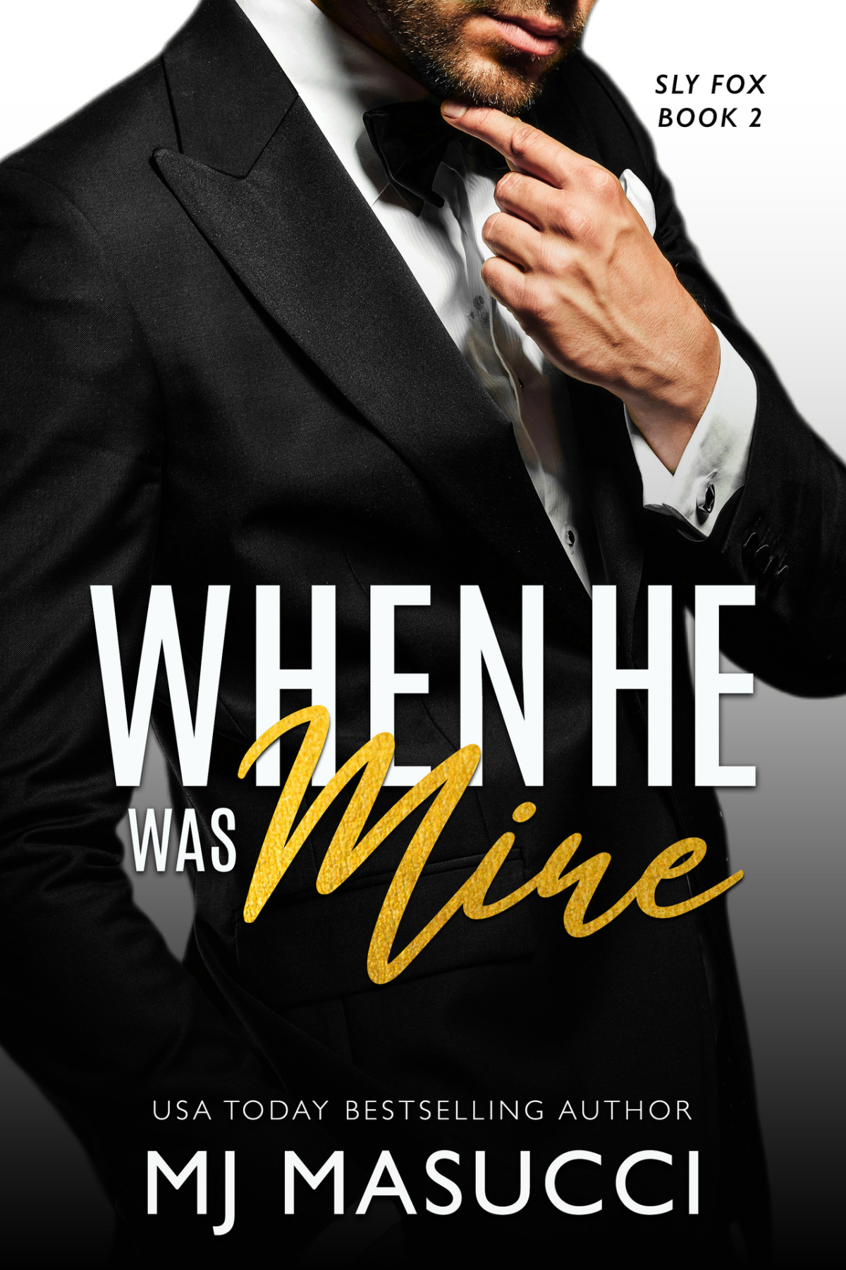 When He Was Mine A Billionaire Age Gap Romance Book Sly Fox Series 2 Mj Masucci