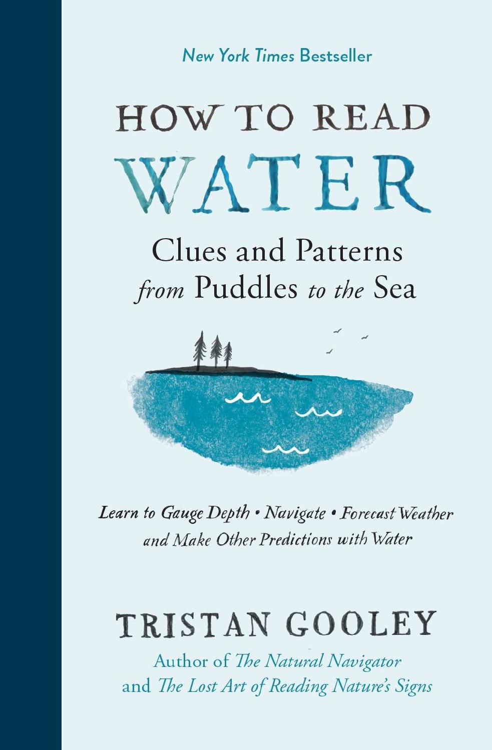 How To Read Water Clues And Patterns From Puddles To The Sea Natural Navigation Tristan Gooley