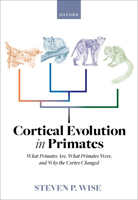 Cortical Evolution In Primates 1st Edition Steven P Wise
