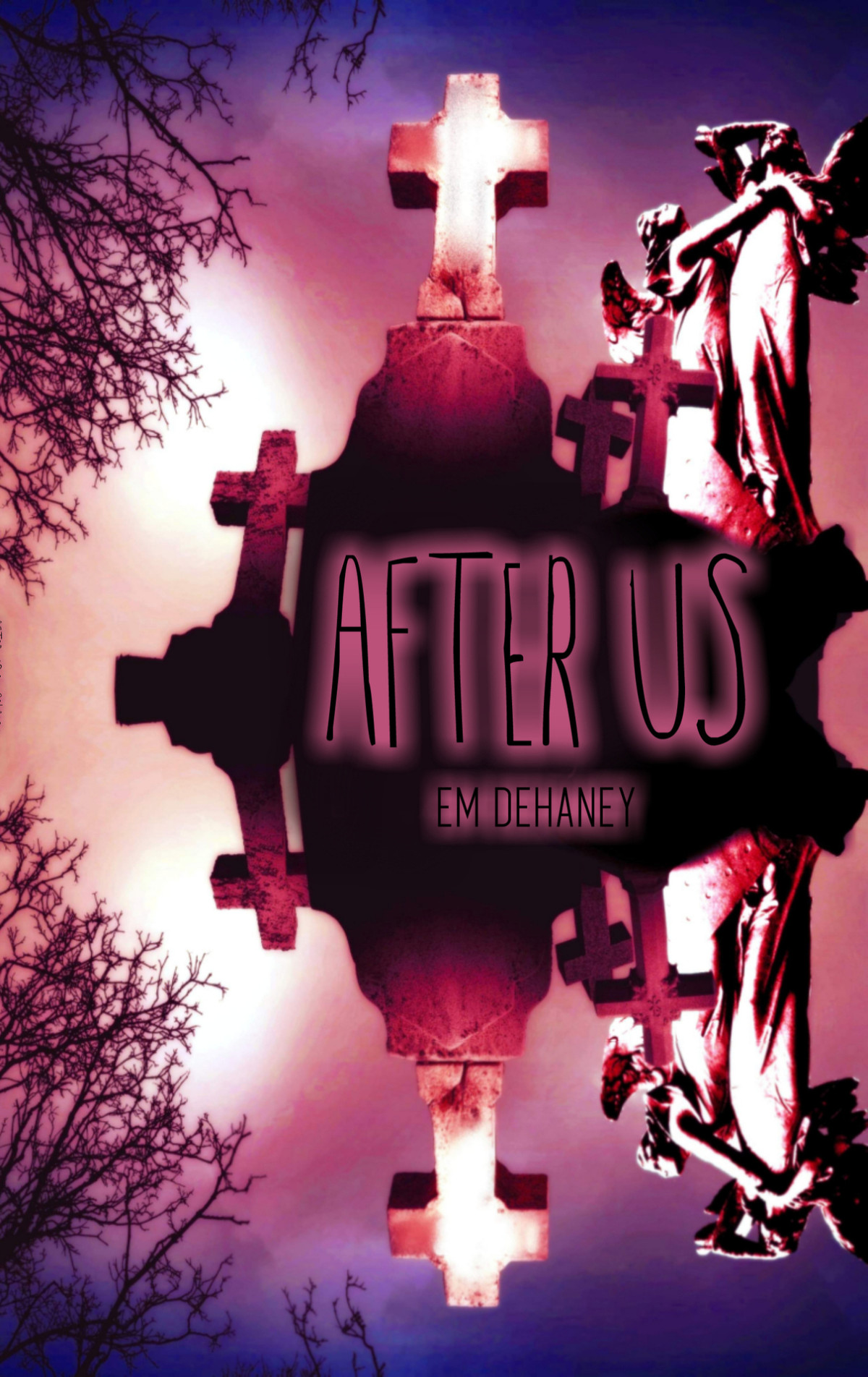 After Us Em Dehaney