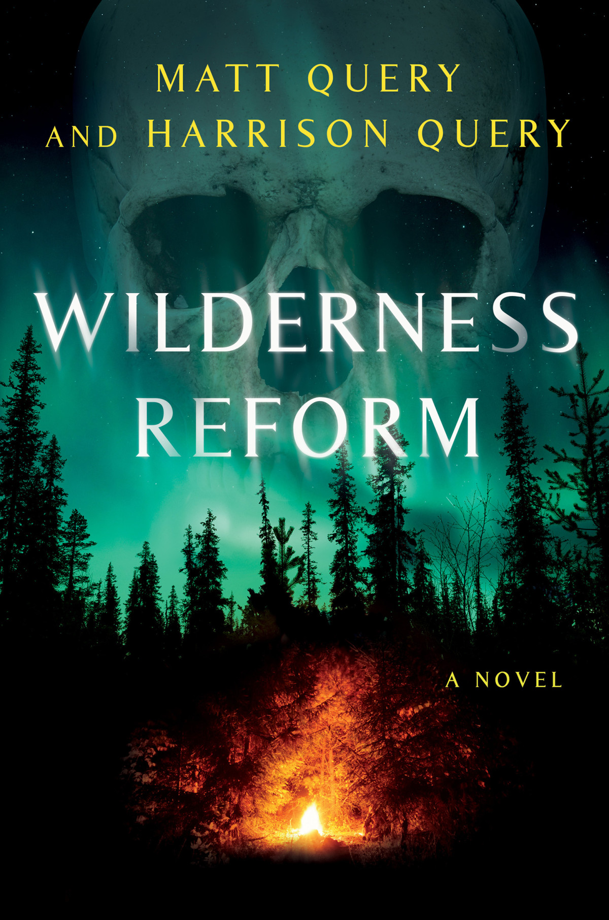 Wilderness Reform A Novel Matt Query Harrison Query