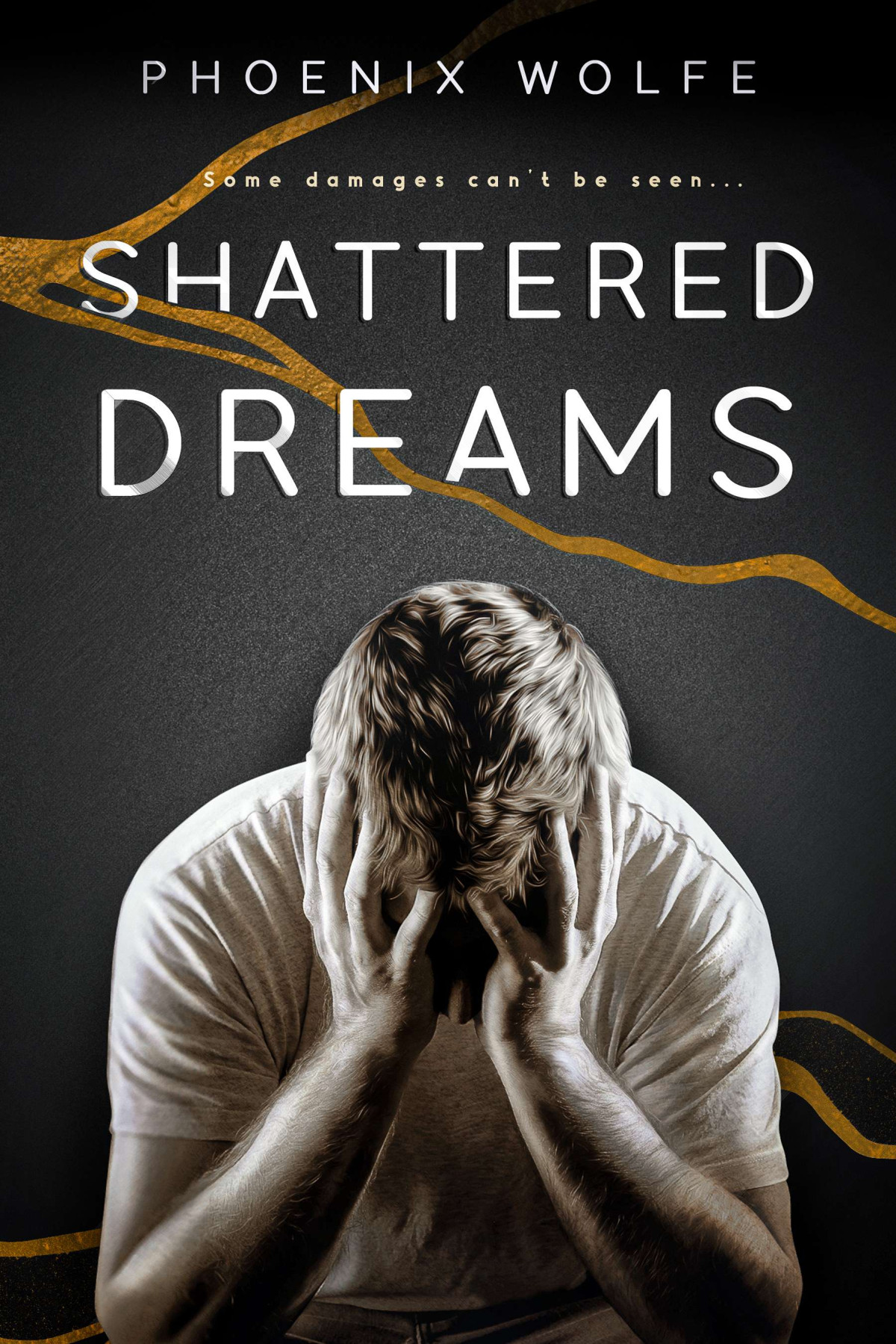Shattered Dreams Phoenix Wolfe