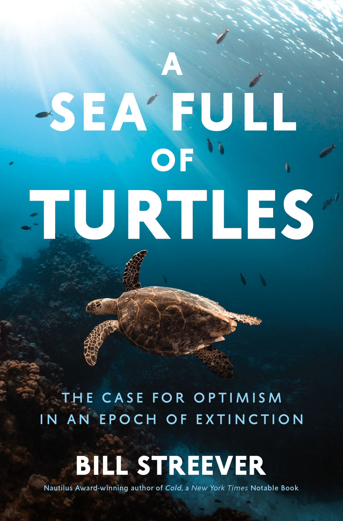 A Sea Full Of Turtles The Search For Optimism In An Epoch Of Extinction Bill Streever