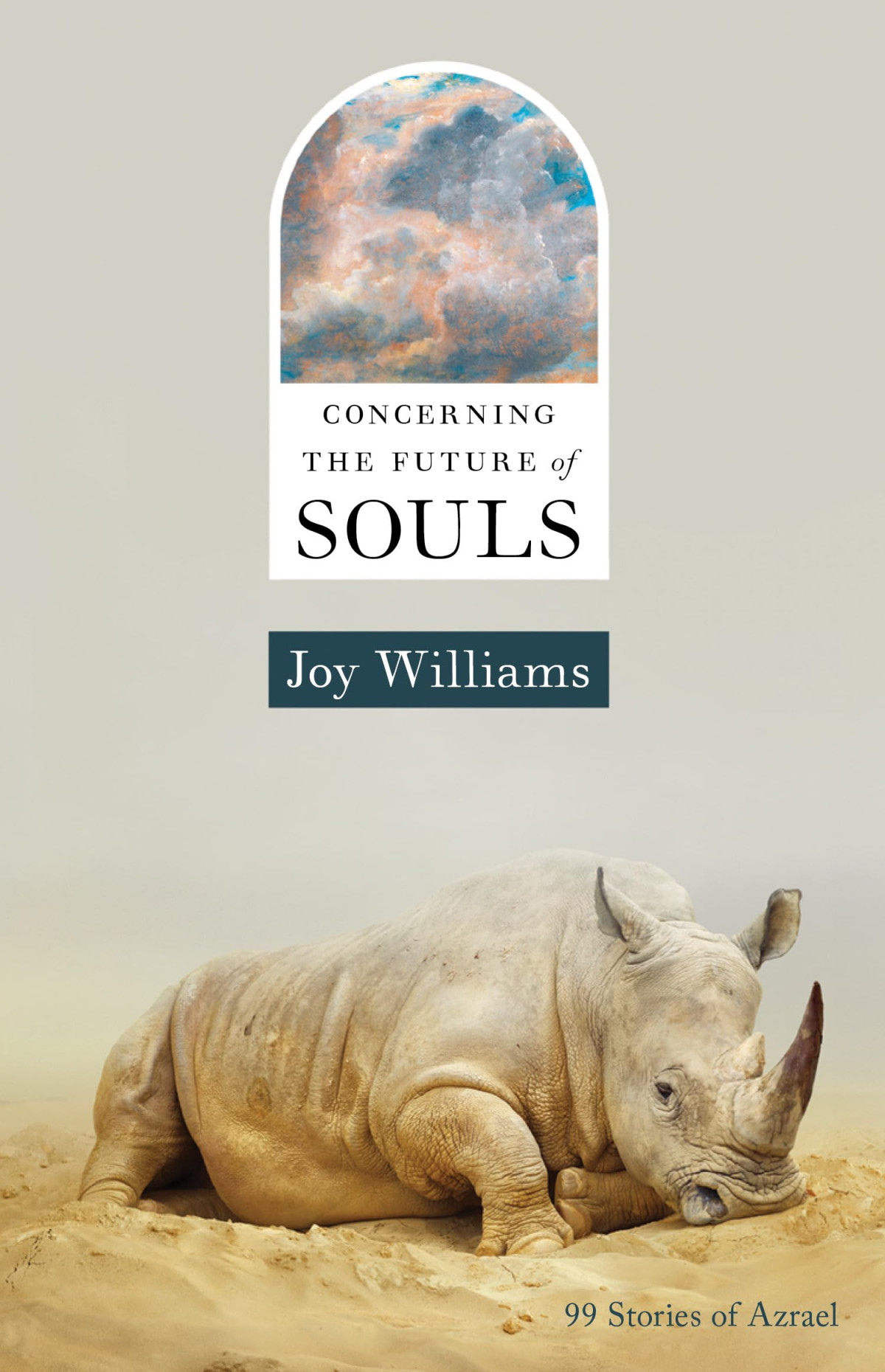 Concerning The Future Of Souls Joy Williams