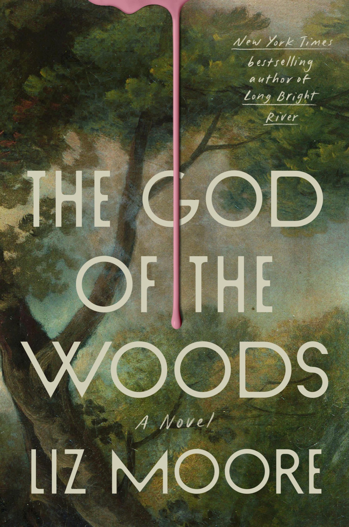 The God Of The Woods A Novel Liz Moore