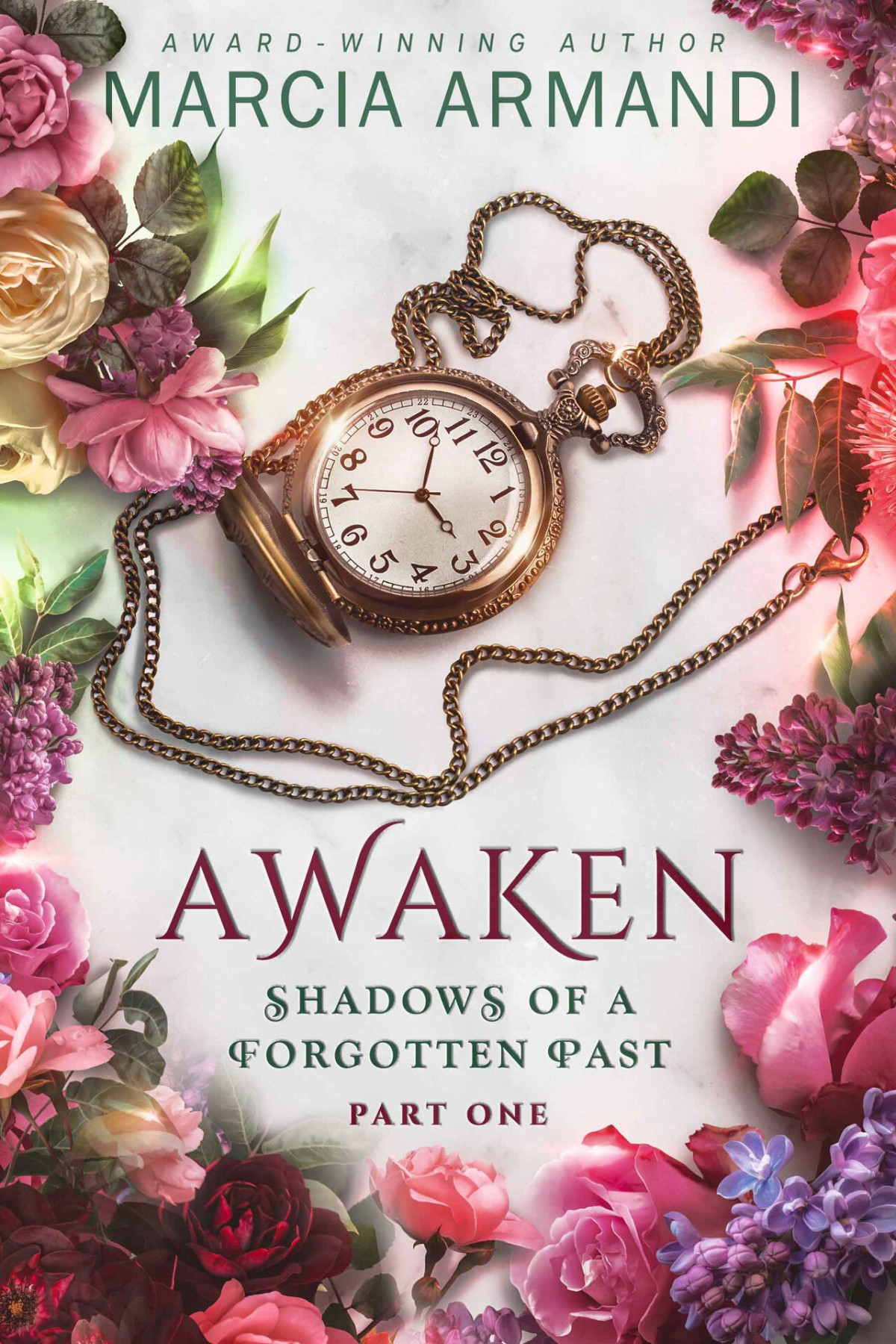 Awaken Shadows Of A Forgotten Past Book 1 Marcia Armandi