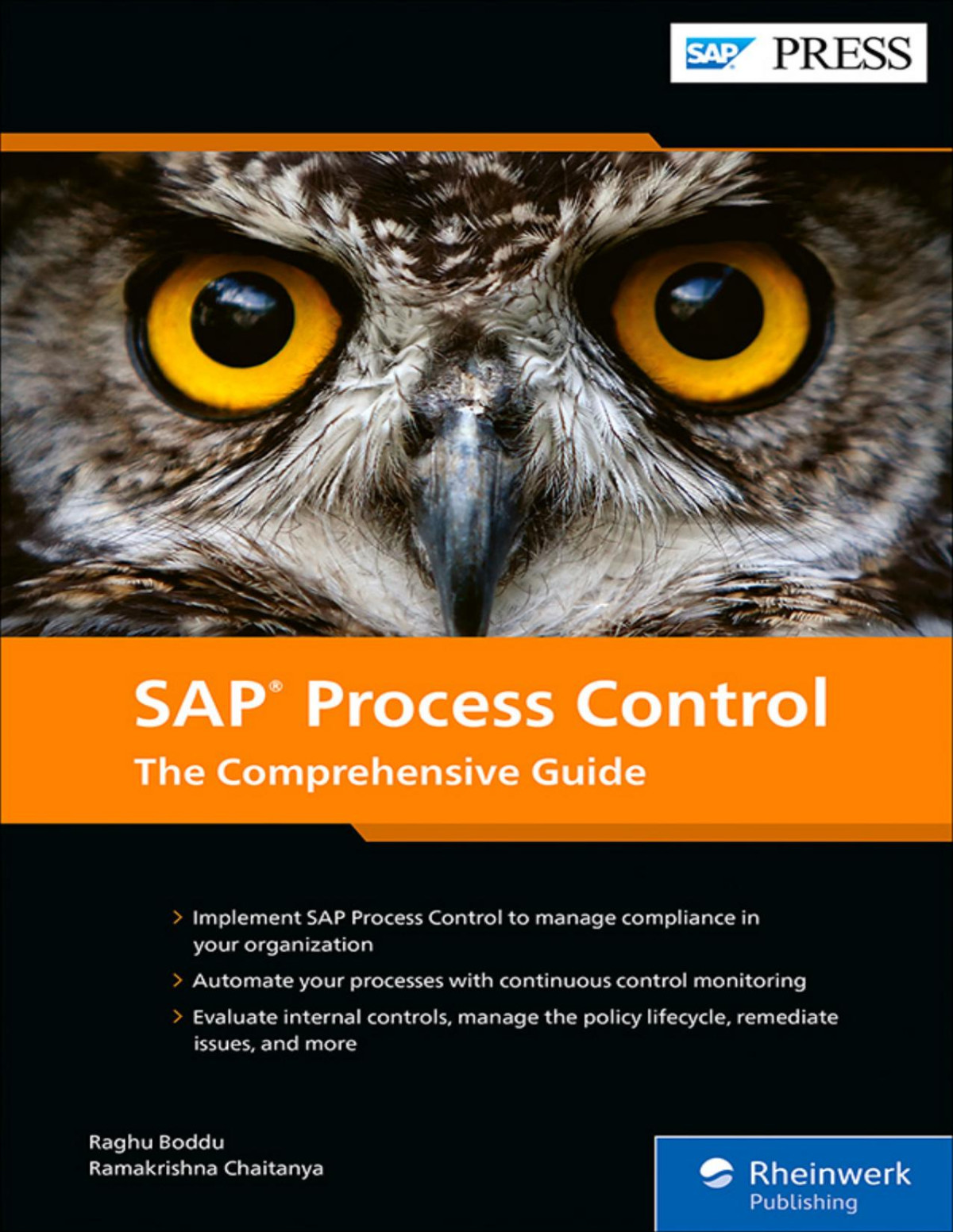Sap Process Control Boddu Raghuchaitanya Ramakrishna
