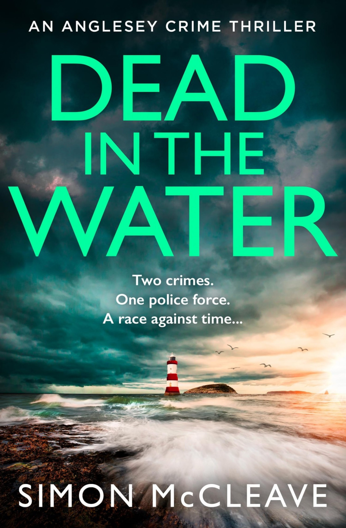 Dead In The Water Simon Mccleave