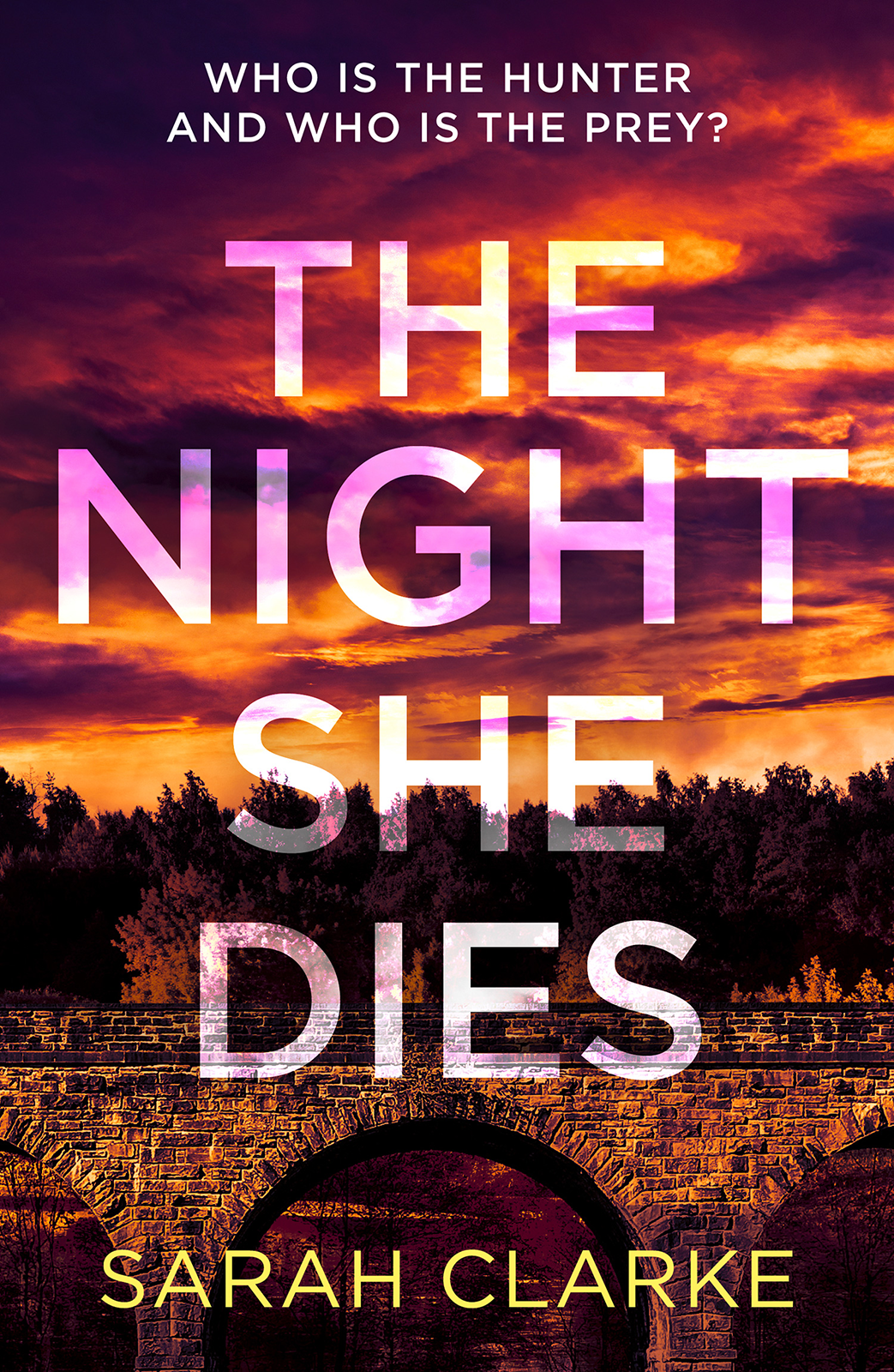 The Night She Dies Sarah Clarke