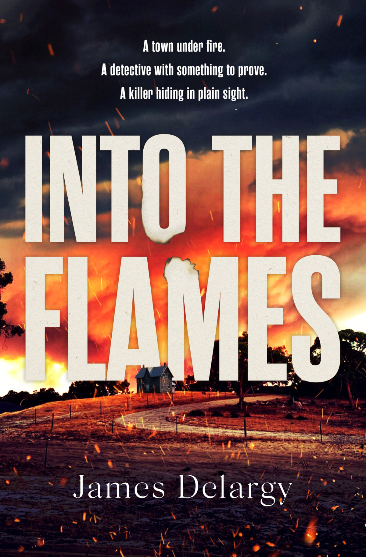 Into The Flames The Scorching New Summer Thriller James Delargy