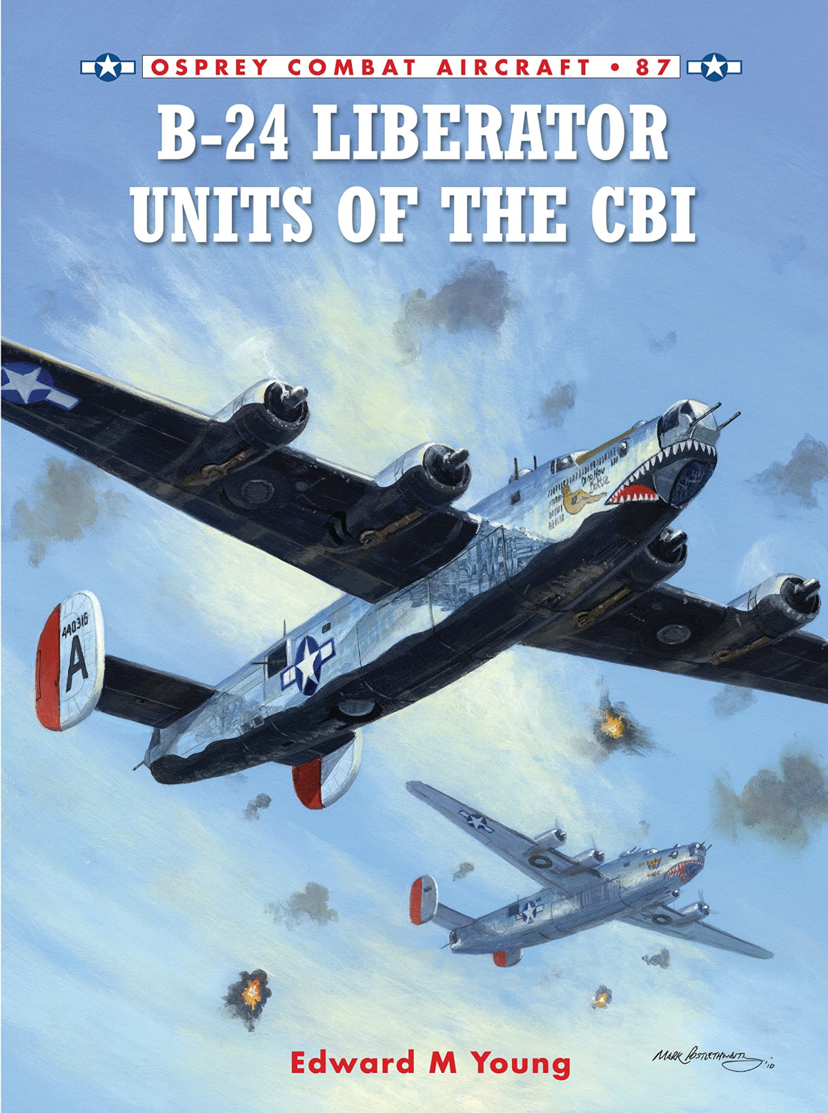 B24 Liberator Units Of The Cbi Illustrated Edward M Young