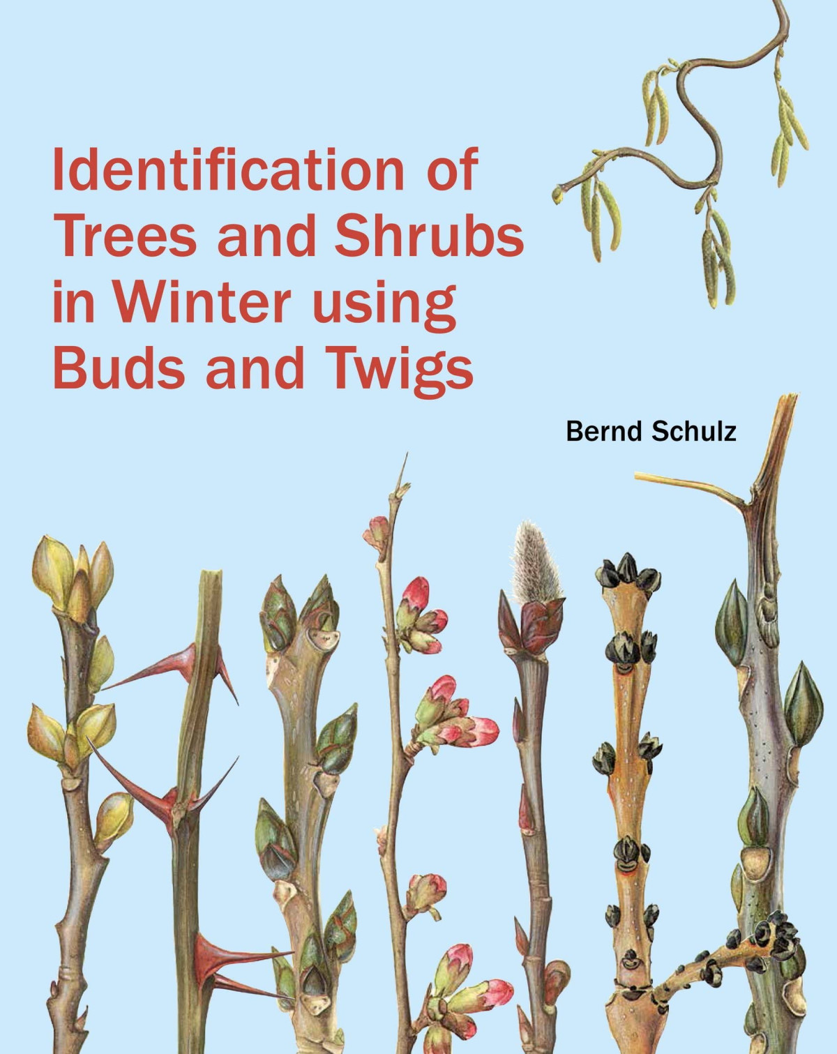 Identification Of Trees And Shrubs In Winter Using Buds And Twigs Translated Bernd Schulz