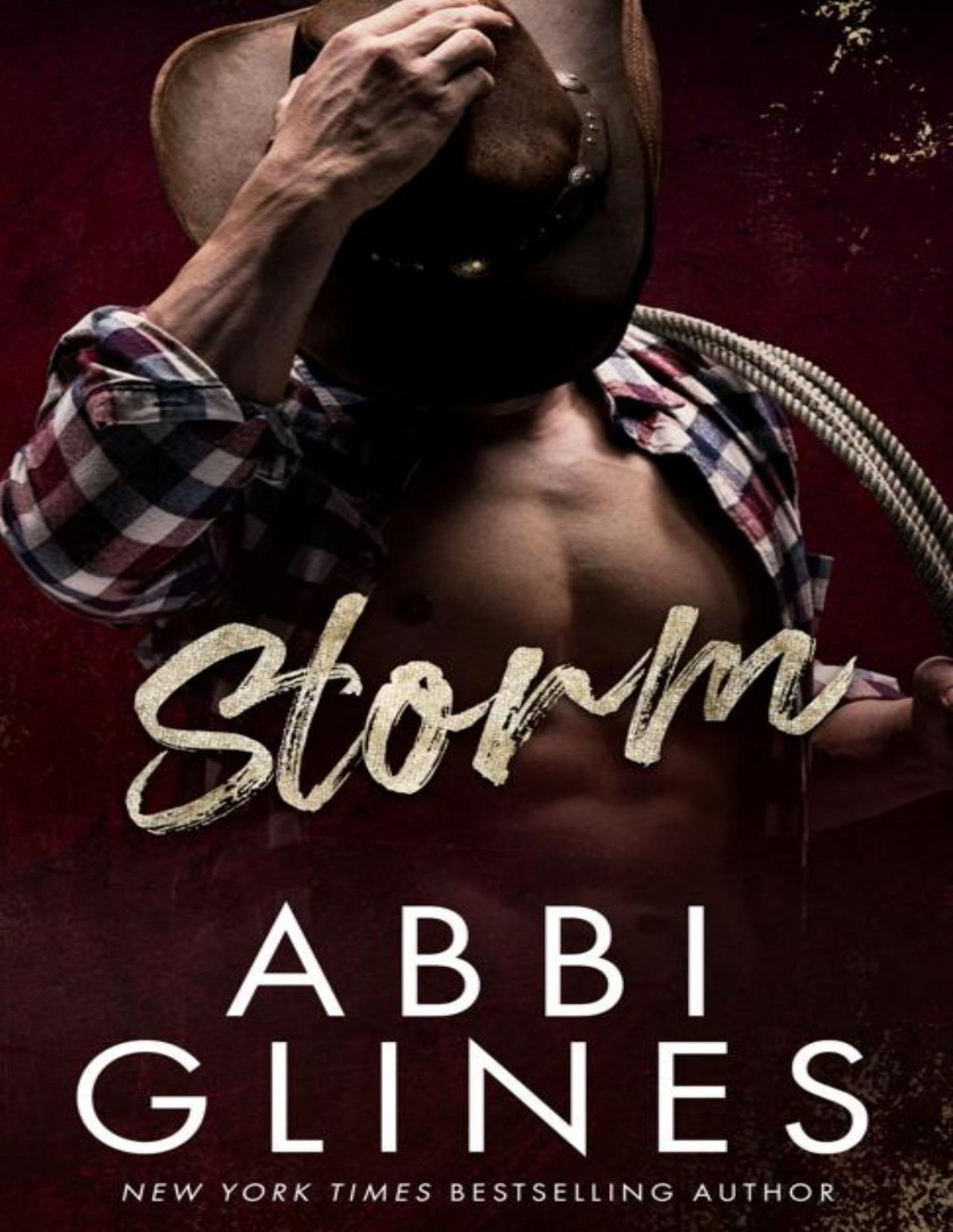 Storm Abbi Glines