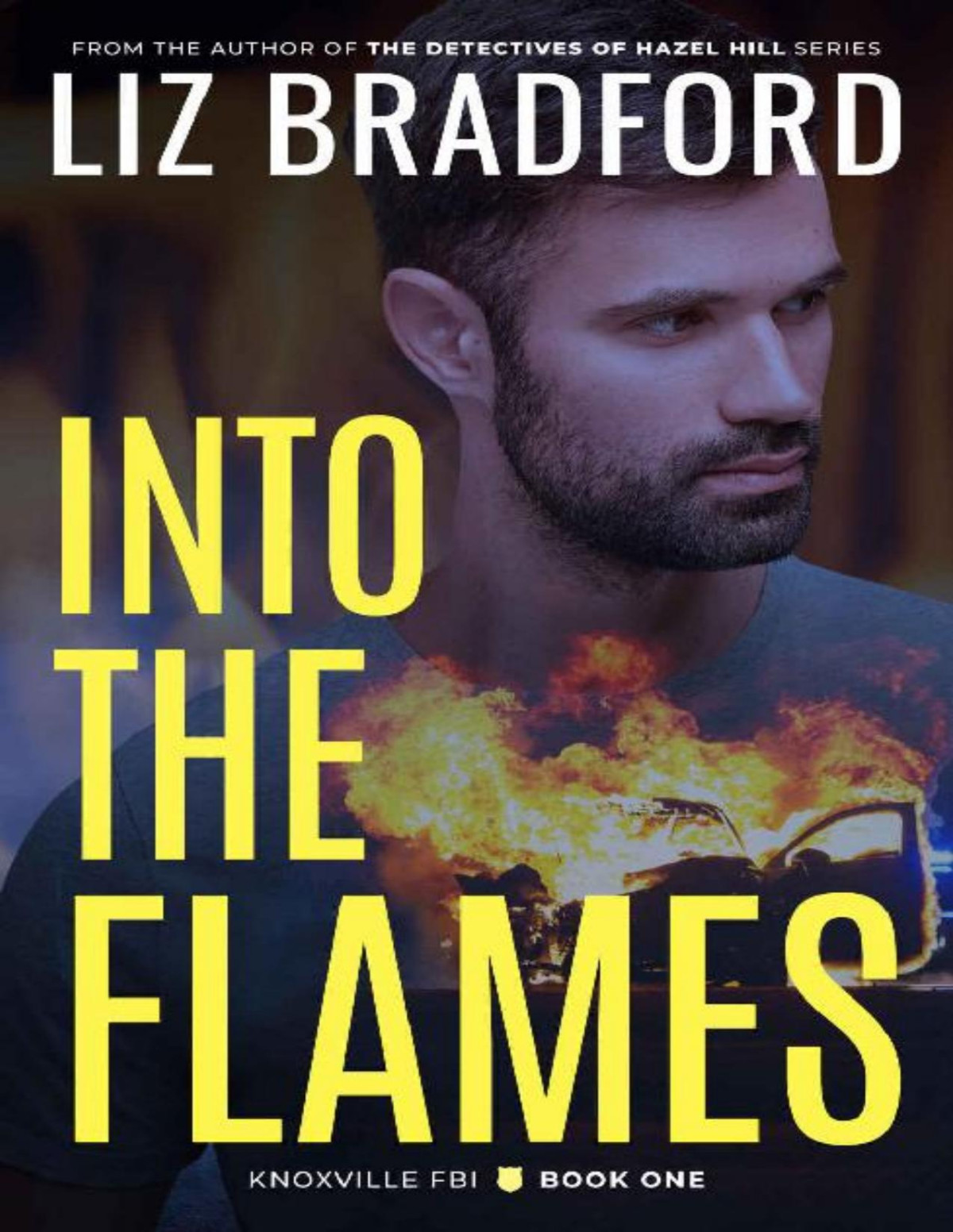 Into The Flames Knoxville Fbi Book One Bradford Liz