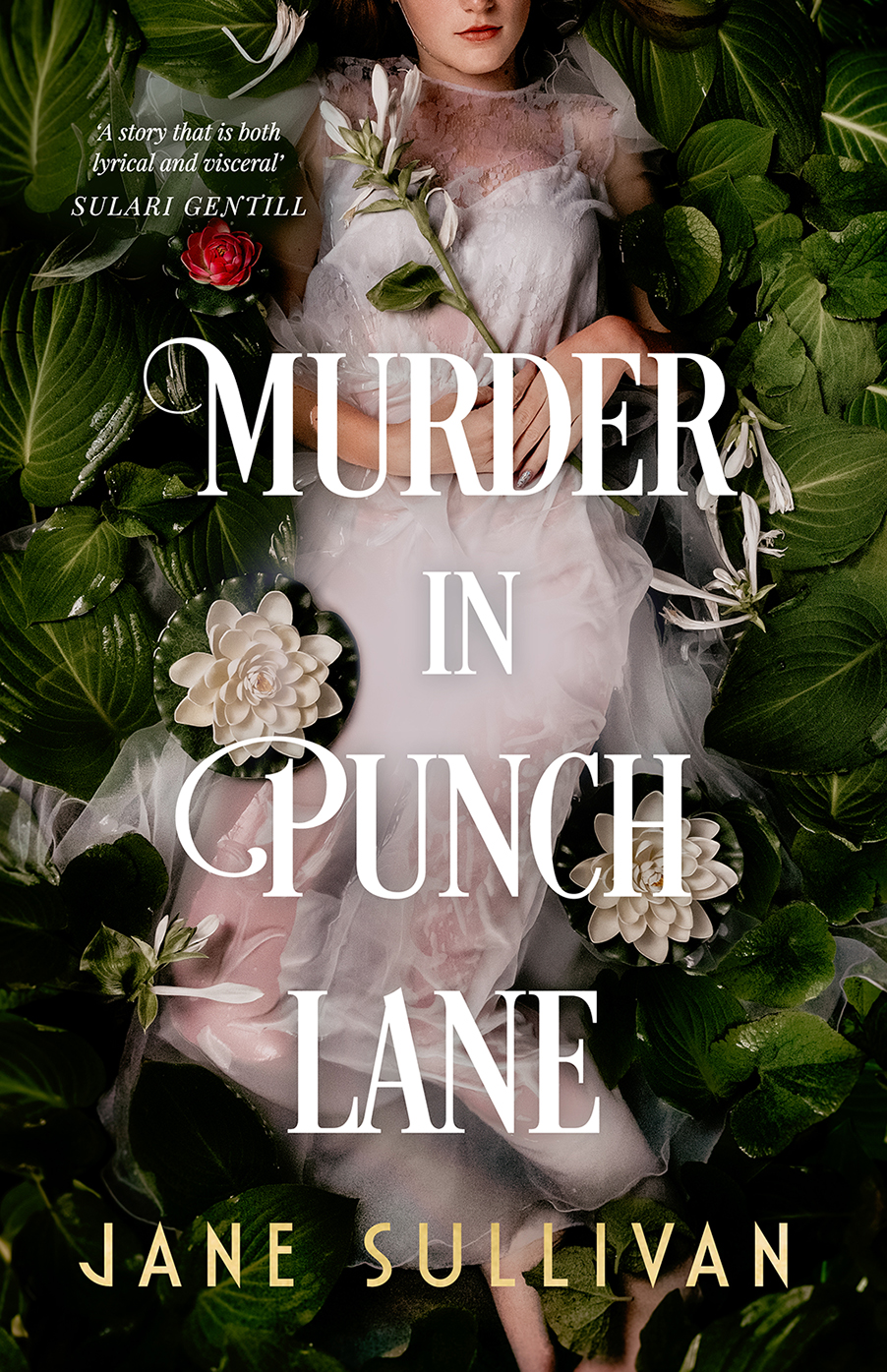 Murder In Punch Lane Jane Sullivan