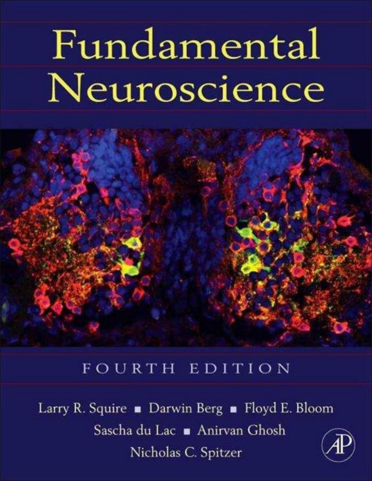 Fundamental Neuroscience 4th Edition Larry Squire Darwin Berg