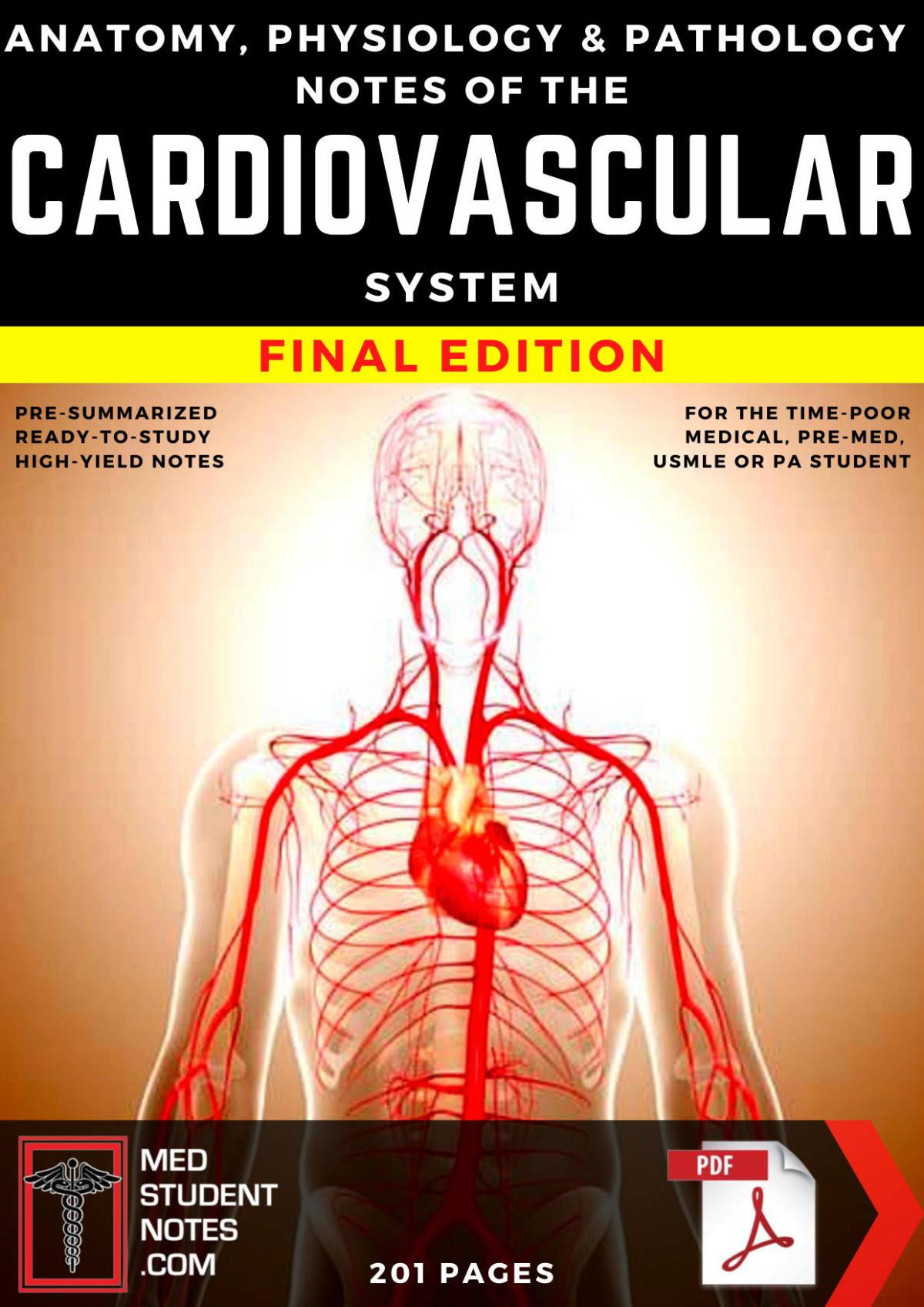 Anatomy Physiology Pathology Notes Of The Cardiovascular System Med Student Notes
