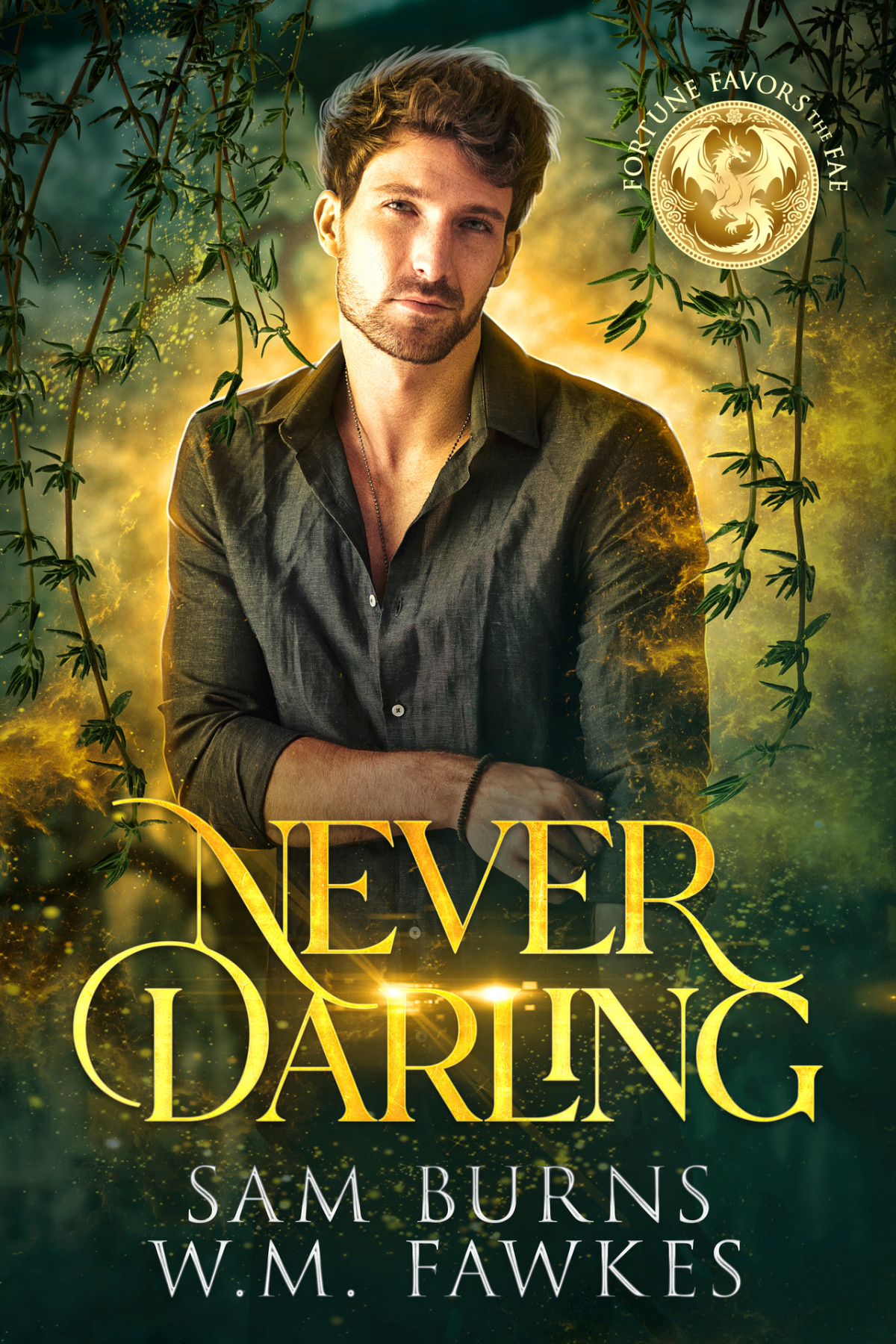 Never Darling Sam Burns Wm Fawkes